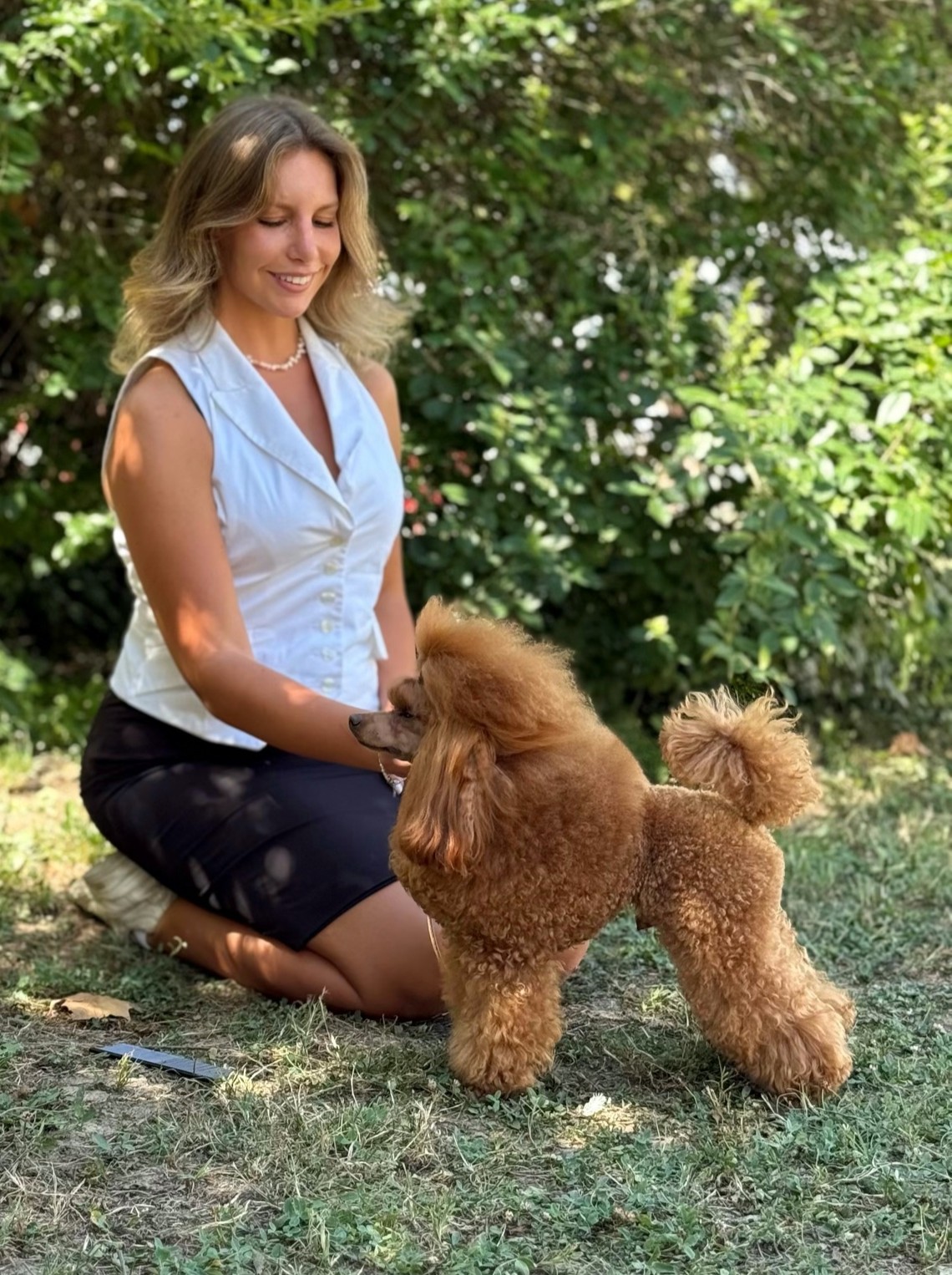 cane, fulvo, diamante, diamanti blu, diamanti blu poodle, diamantiblu, barbone, barboncino, red, toy, barbone red, barboncino fulvo, barbocino toy